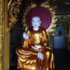 Mẫu Tượng Thờ Ngũ Hổ PT-0202